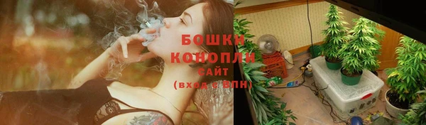 трава Инта
