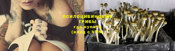 трава Инта