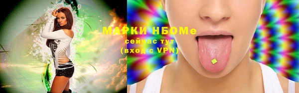трава Инта