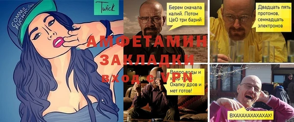 трава Инта