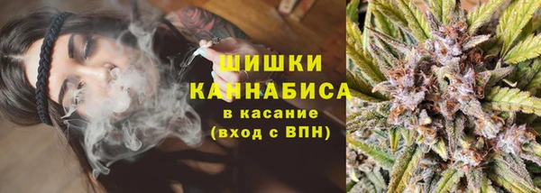трава Инта