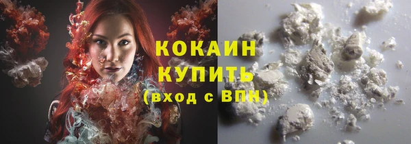 трава Инта