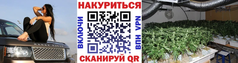 Купить закладки Кубинка Шишки марихуана план